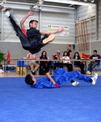 Xia Quan Tai Chi Kung Fu Nederland Rotterdam Xia Qaun Hung Quan fighting form